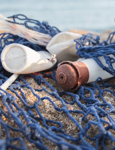 Soil Testing and Site Investigation